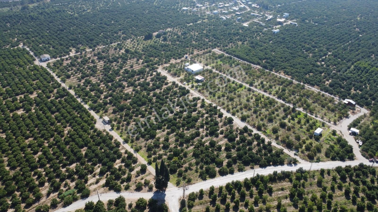 Gümüldür Merkezde Satılık Tarım Arazisi — fotoğraf 13