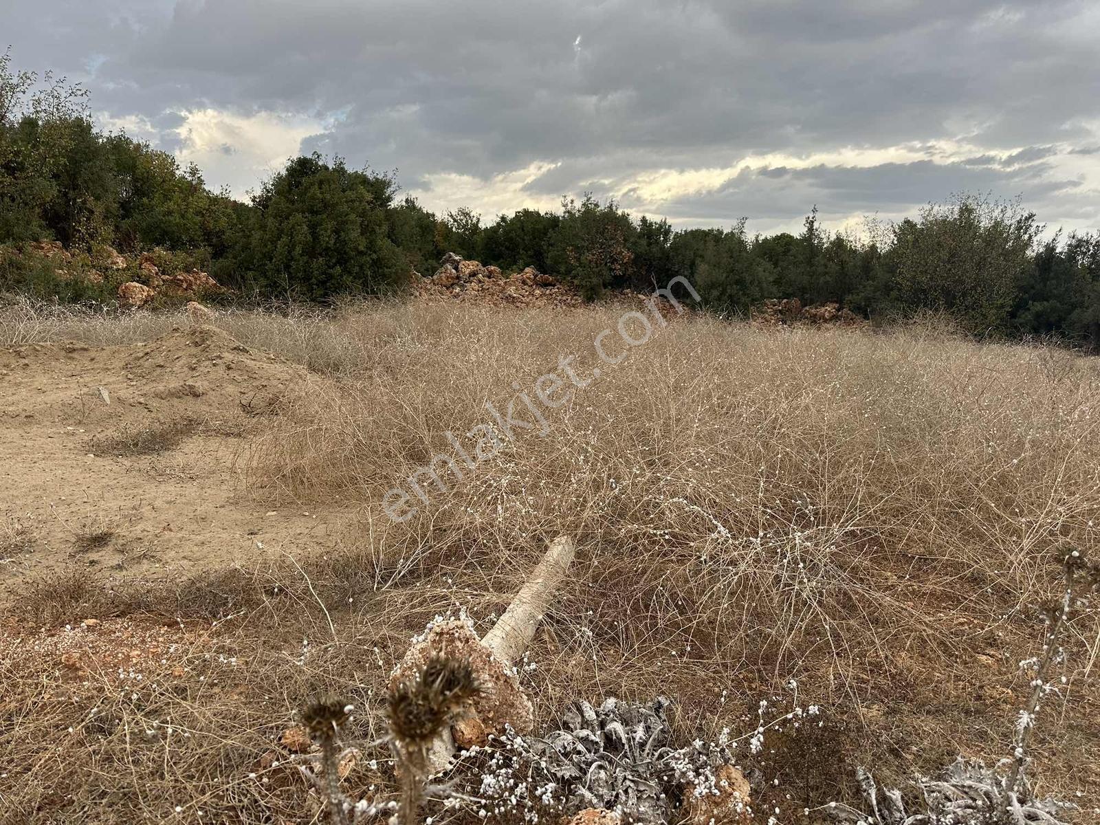 Bilim Üniversitesi Yakını 404 M2 Villa Arsası — fotoğraf 2