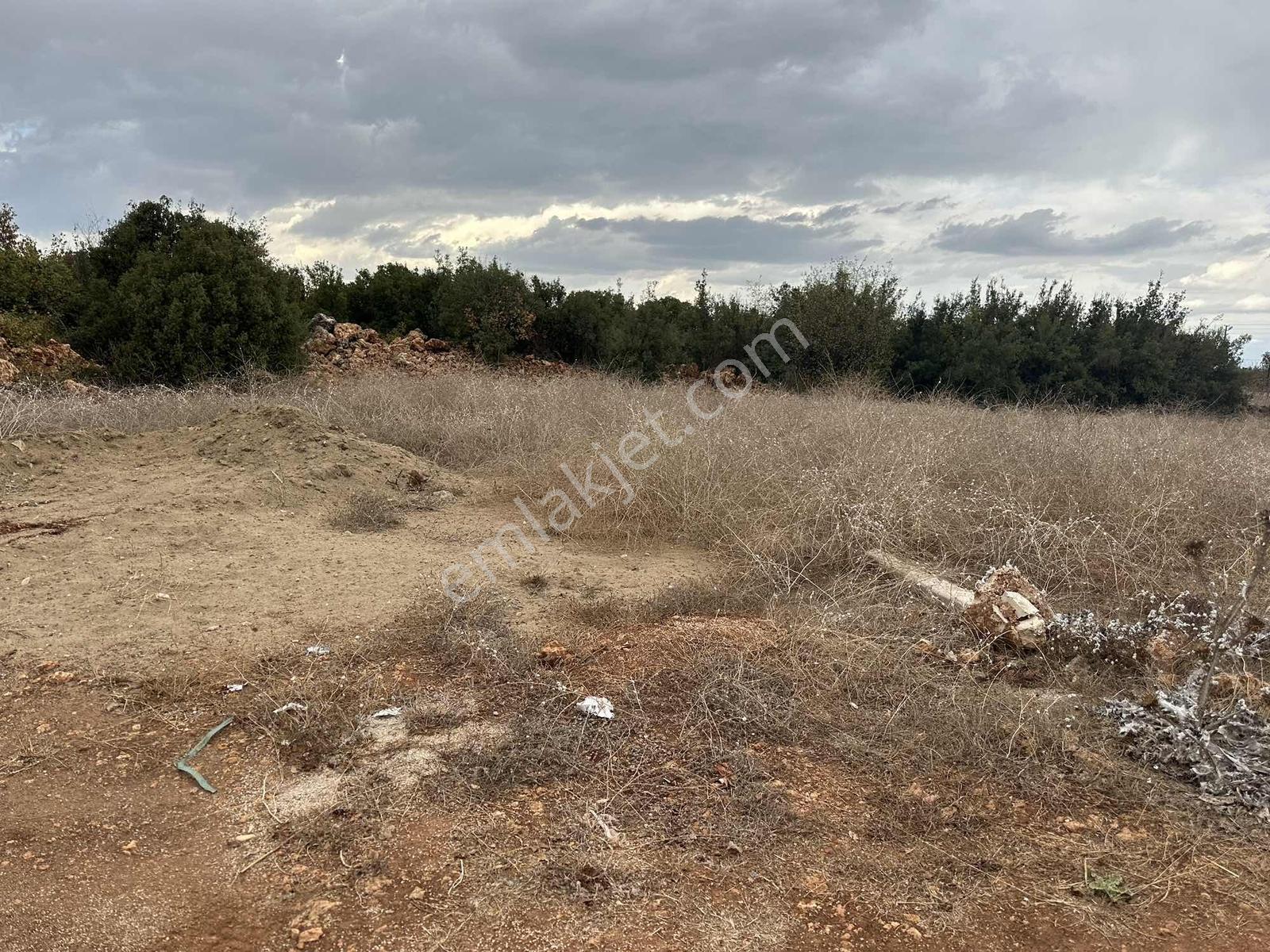 Bilim Üniversitesi Yakını 404 M2 Villa Arsası — fotoğraf 5