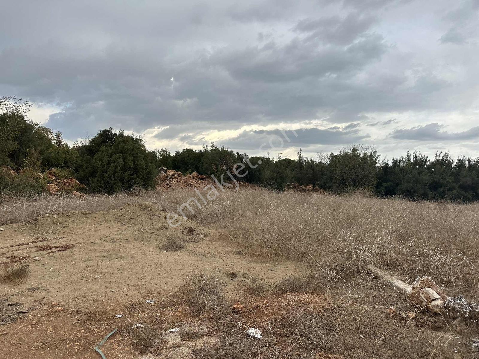 Bilim Üniversitesi Yakını 404 M2 Villa Arsası — fotoğraf 7