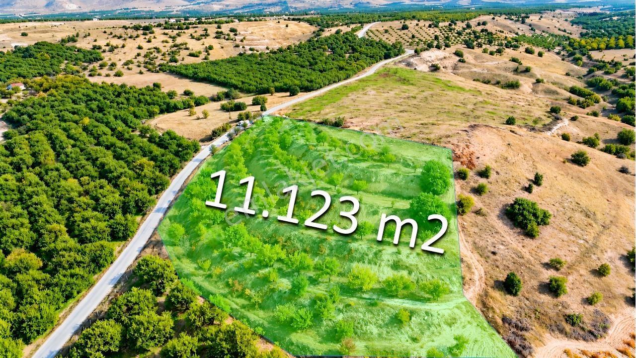 Canbay Yapıdan Örnekköyde 11.123M2 Doğa Ve Baraj Manzaralı Bahçe