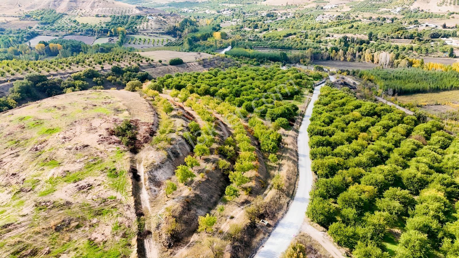 Canbay Yapıdan Örnekköyde 11.123m2 Doğa Ve Baraj Manzaralı Bahçe — fotoğraf 2