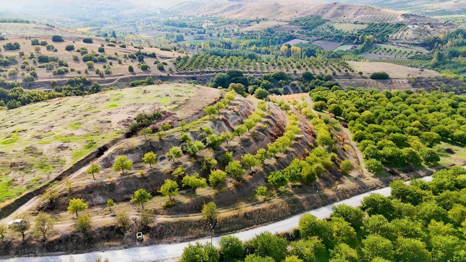 Canbay Yapıdan Örnekköyde 11.123m2 Doğa Ve Baraj Manzaralı Bahçe — fotoğraf 3