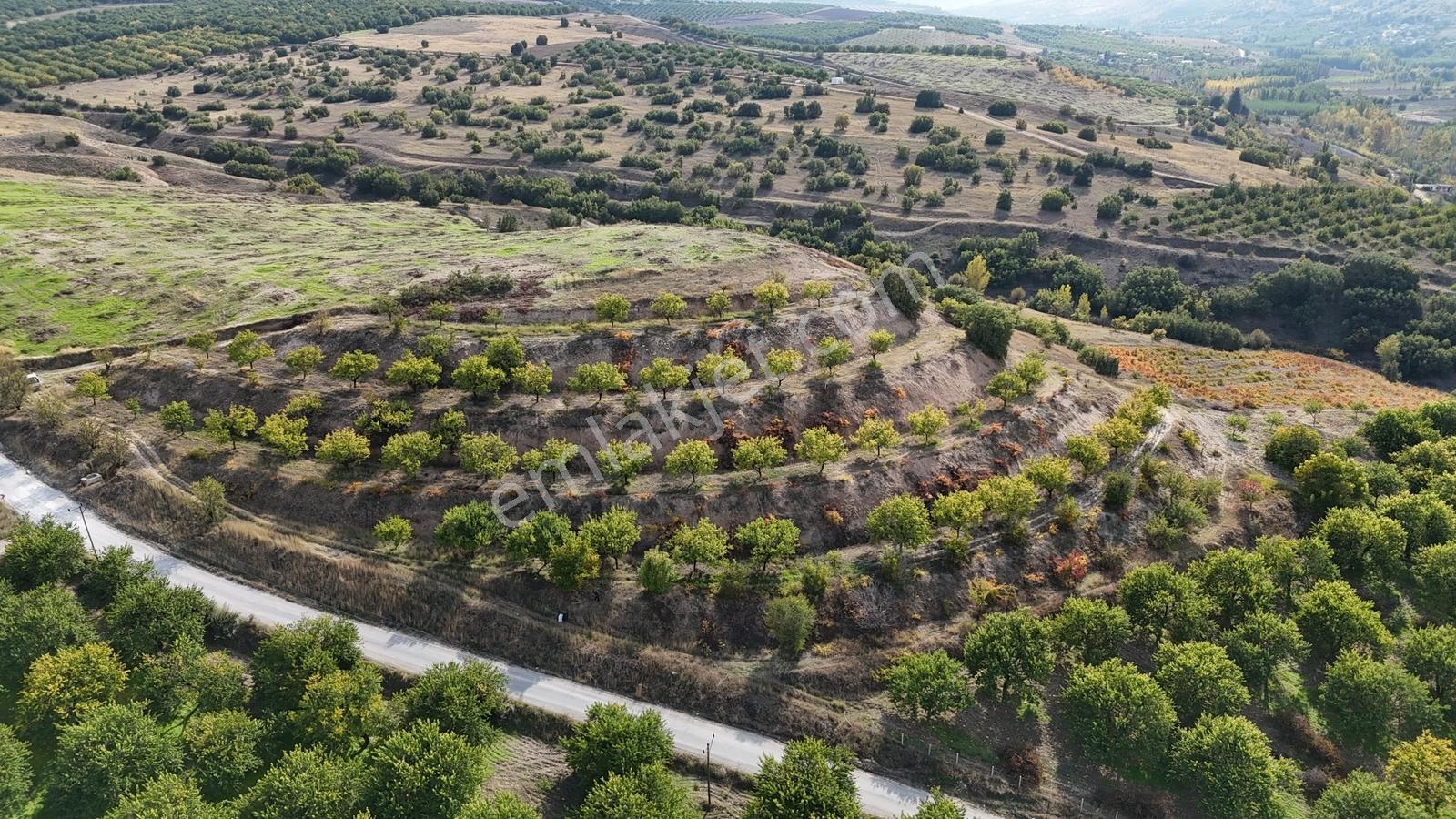 Canbay Yapıdan Örnekköyde 11.123m2 Doğa Ve Baraj Manzaralı Bahçe — fotoğraf 4