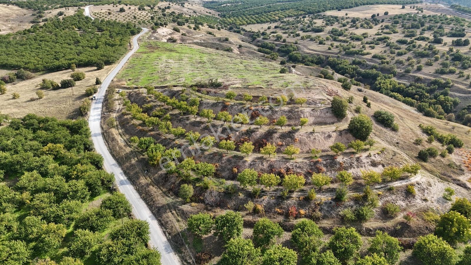 Canbay Yapıdan Örnekköyde 11.123m2 Doğa Ve Baraj Manzaralı Bahçe — fotoğraf 5