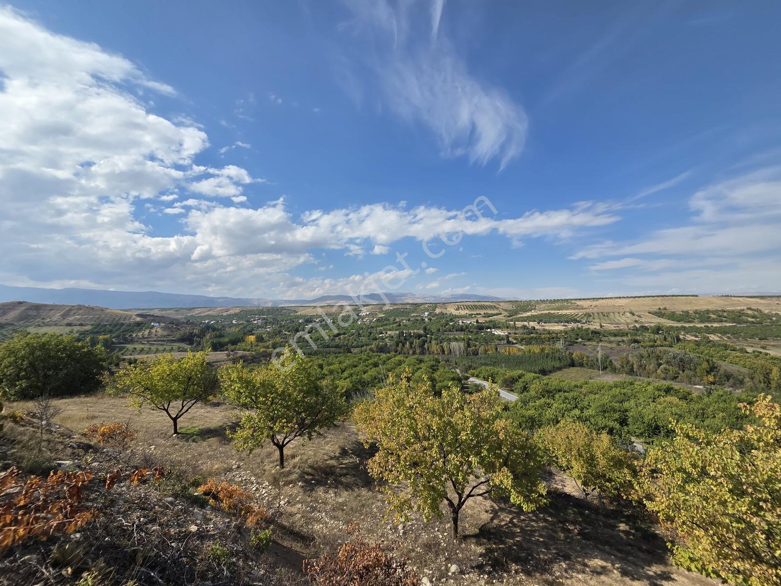 Canbay Yapıdan Örnekköyde 11.123m2 Doğa Ve Baraj Manzaralı Bahçe — fotoğraf 6