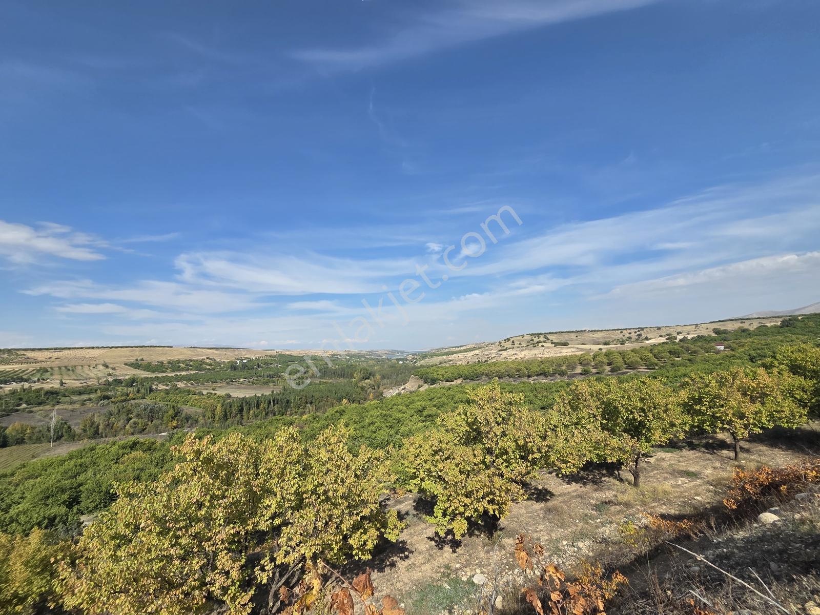 Canbay Yapıdan Örnekköyde 11.123m2 Doğa Ve Baraj Manzaralı Bahçe — fotoğraf 7