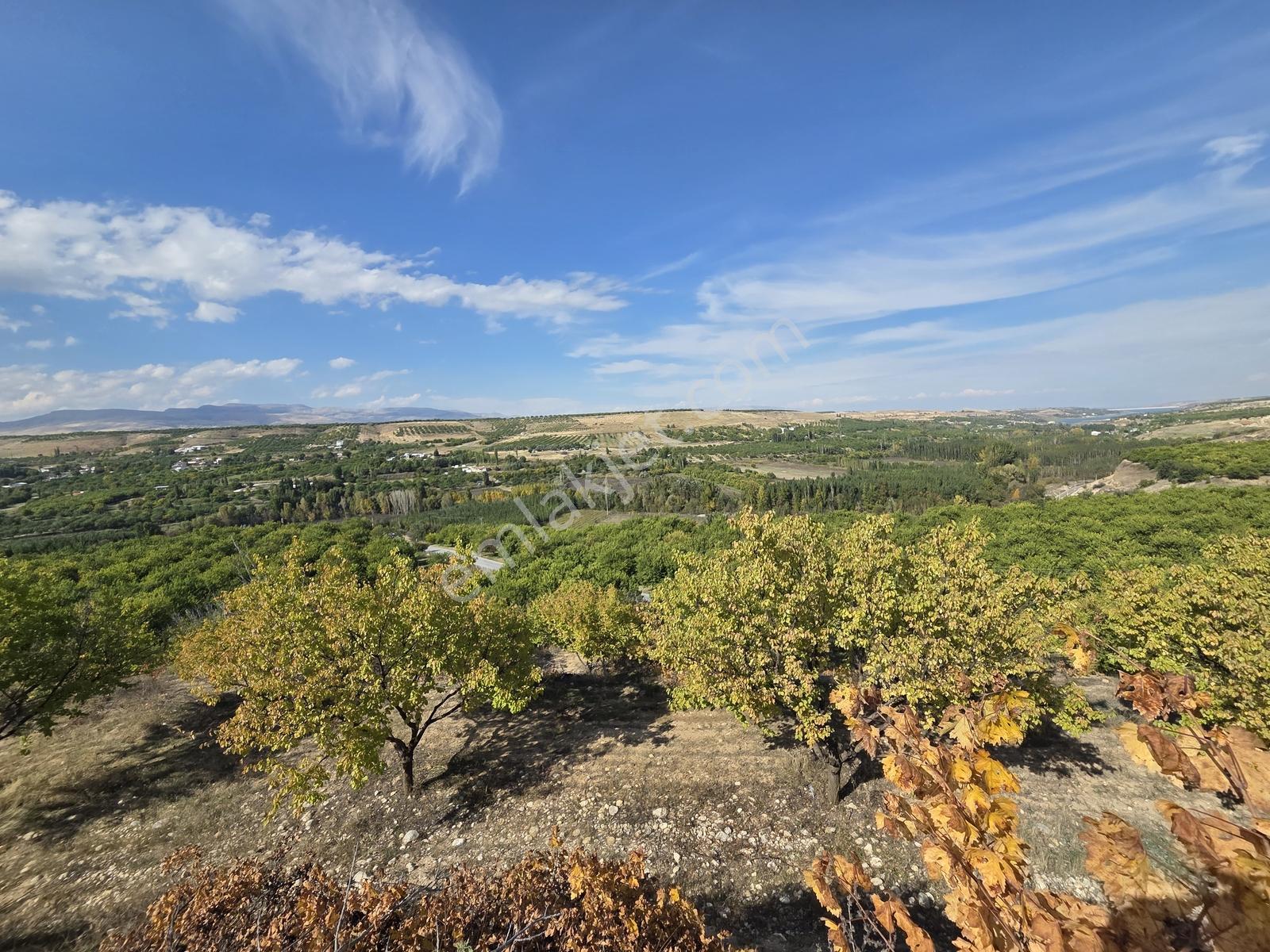 Canbay Yapıdan Örnekköyde 11.123m2 Doğa Ve Baraj Manzaralı Bahçe — fotoğraf 8