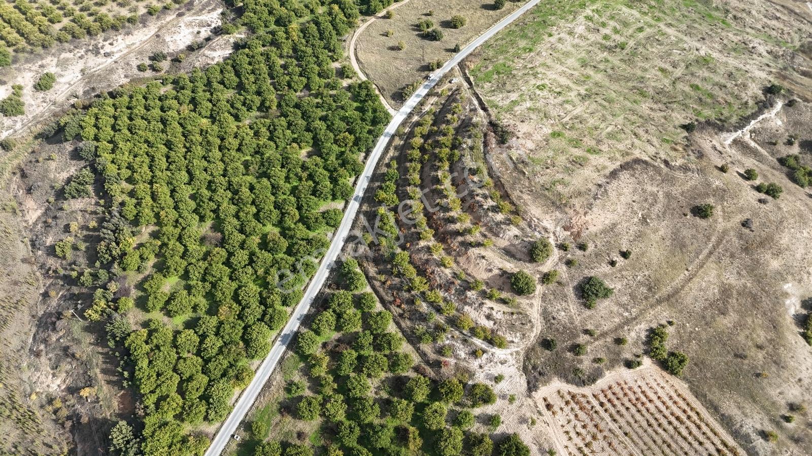 Canbay Yapıdan Örnekköyde 11.123m2 Doğa Ve Baraj Manzaralı Bahçe — fotoğraf 9