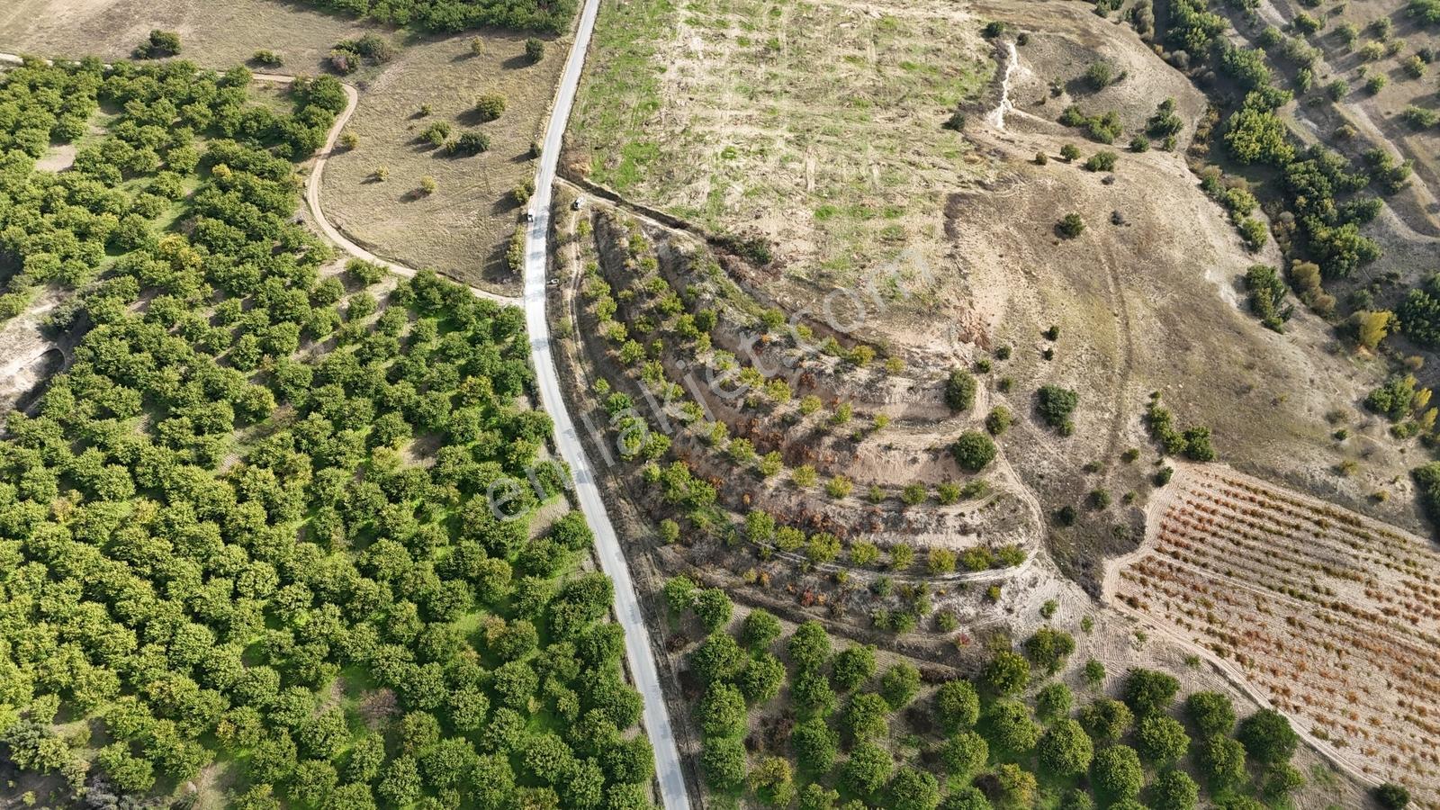 Canbay Yapıdan Örnekköyde 11.123m2 Doğa Ve Baraj Manzaralı Bahçe — fotoğraf 10