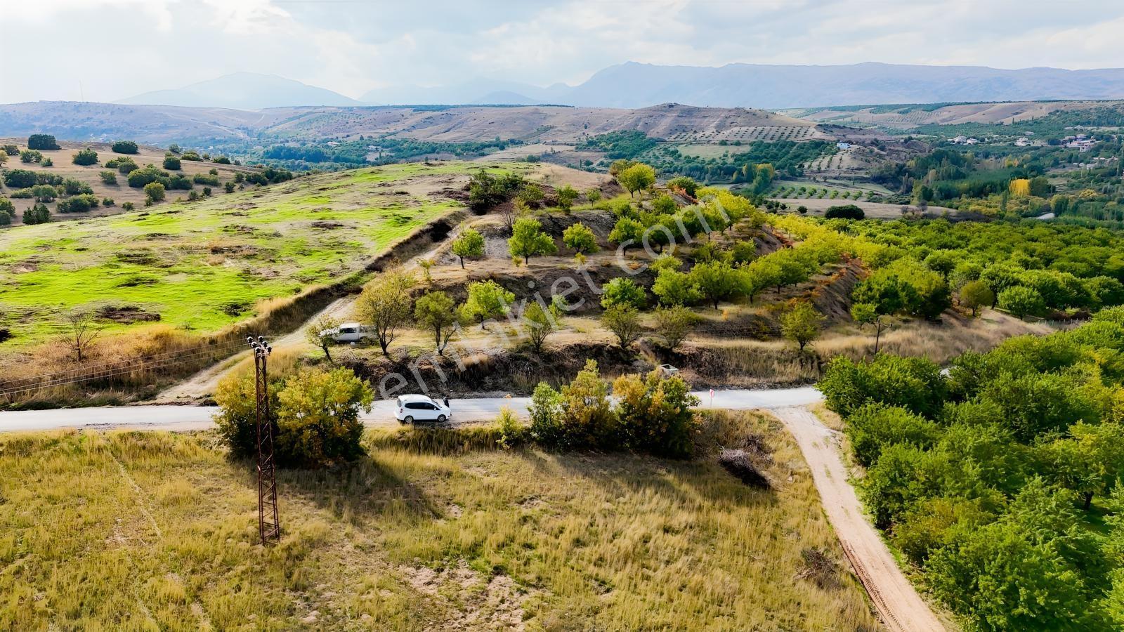 Canbay Yapıdan Örnekköyde 11.123m2 Doğa Ve Baraj Manzaralı Bahçe — fotoğraf 12