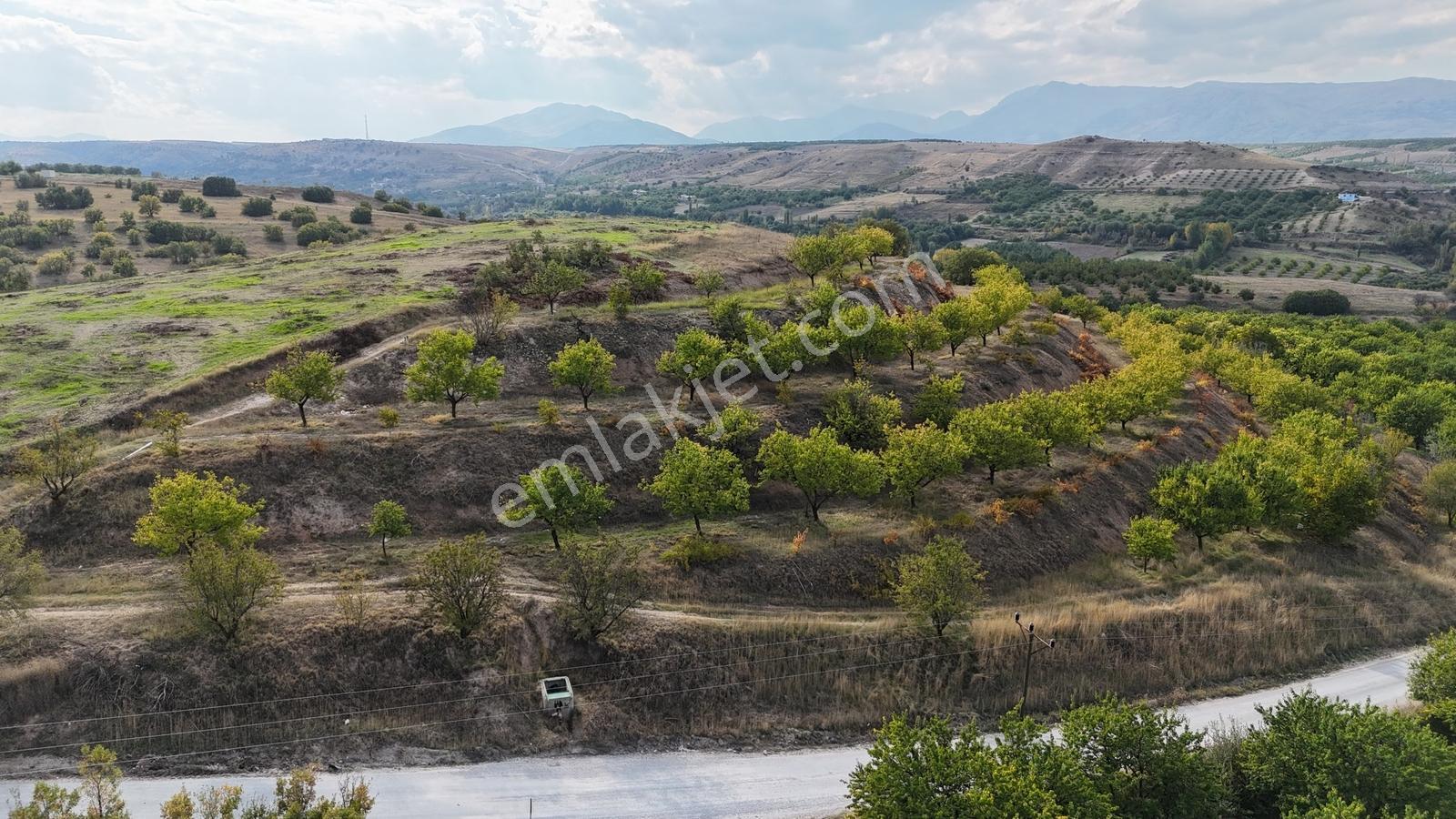 Canbay Yapıdan Örnekköyde 11.123m2 Doğa Ve Baraj Manzaralı Bahçe — fotoğraf 13
