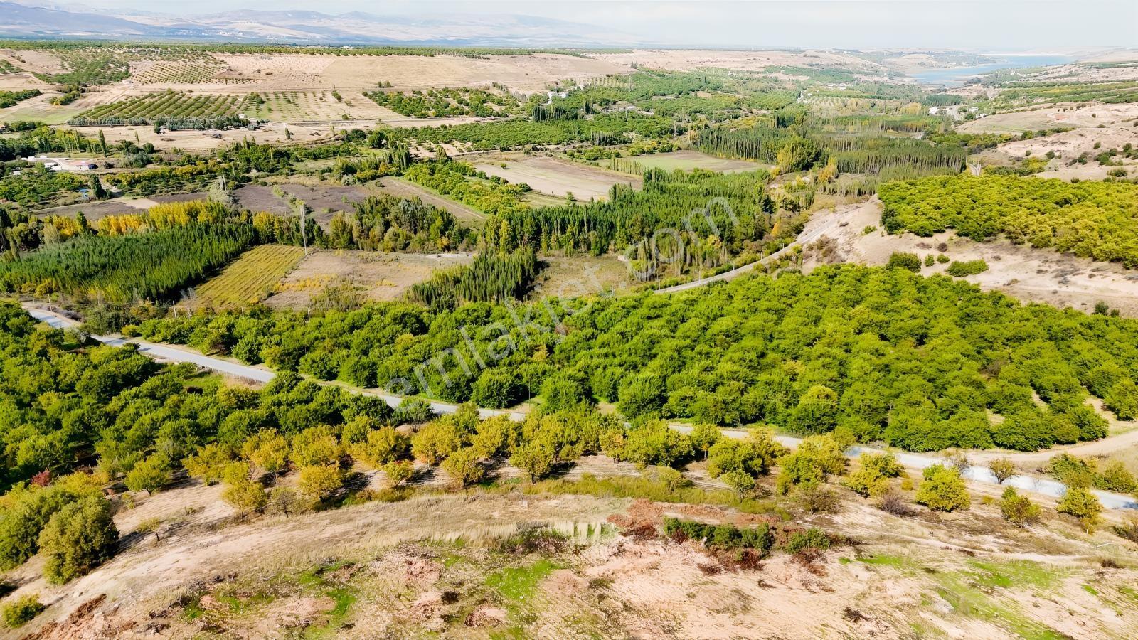 Canbay Yapıdan Örnekköyde 11.123m2 Doğa Ve Baraj Manzaralı Bahçe — fotoğraf 14
