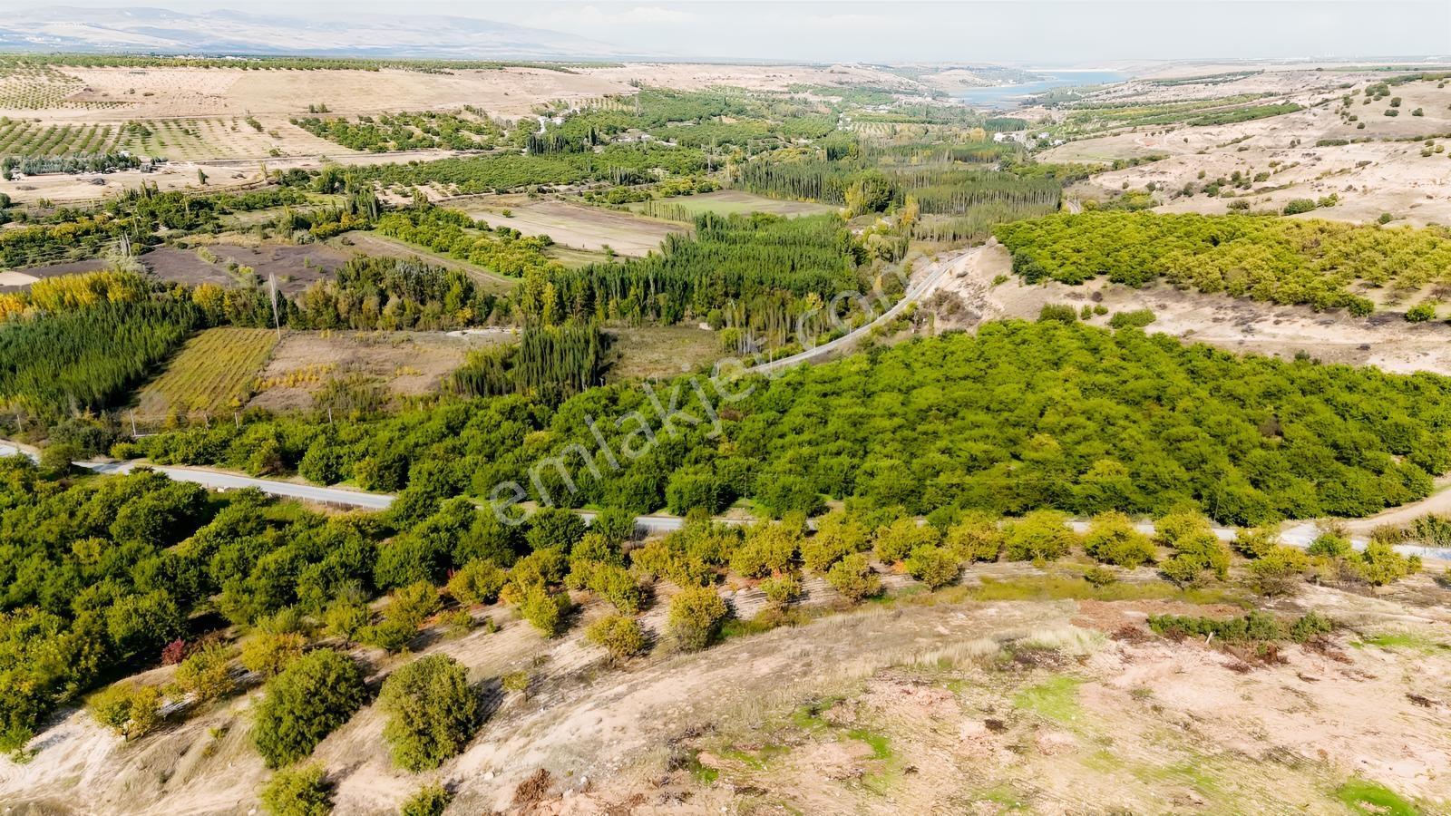 Canbay Yapıdan Örnekköyde 11.123m2 Doğa Ve Baraj Manzaralı Bahçe — fotoğraf 15