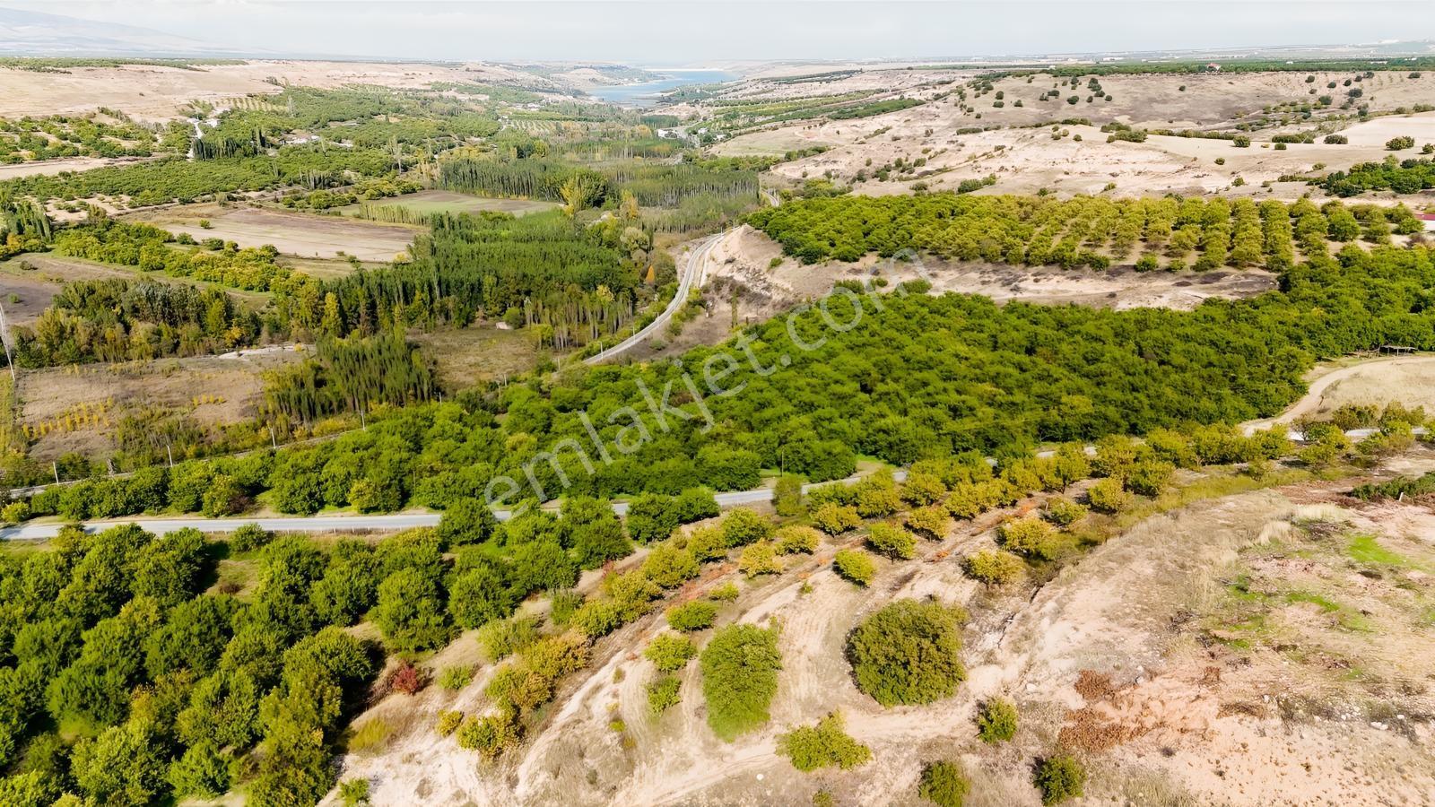 Canbay Yapıdan Örnekköyde 11.123m2 Doğa Ve Baraj Manzaralı Bahçe — fotoğraf 16