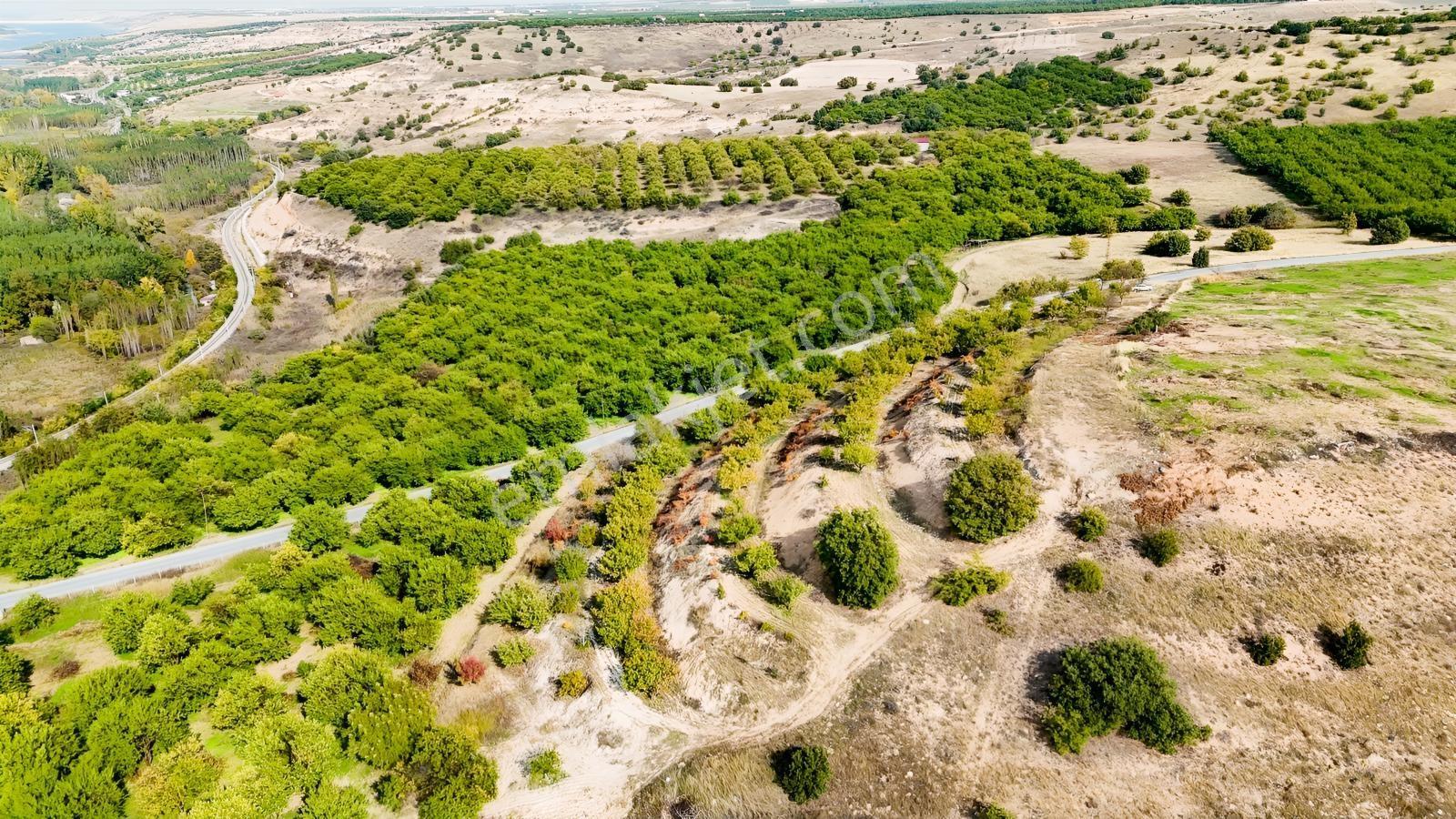 Canbay Yapıdan Örnekköyde 11.123m2 Doğa Ve Baraj Manzaralı Bahçe — fotoğraf 17