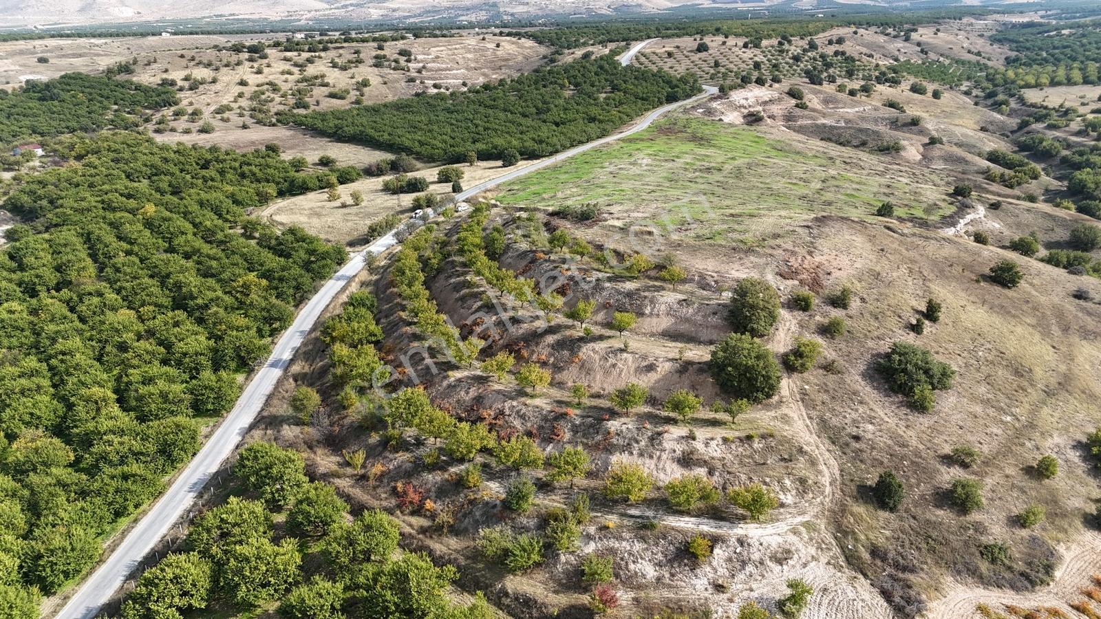 Canbay Yapıdan Örnekköyde 11.123m2 Doğa Ve Baraj Manzaralı Bahçe — fotoğraf 18