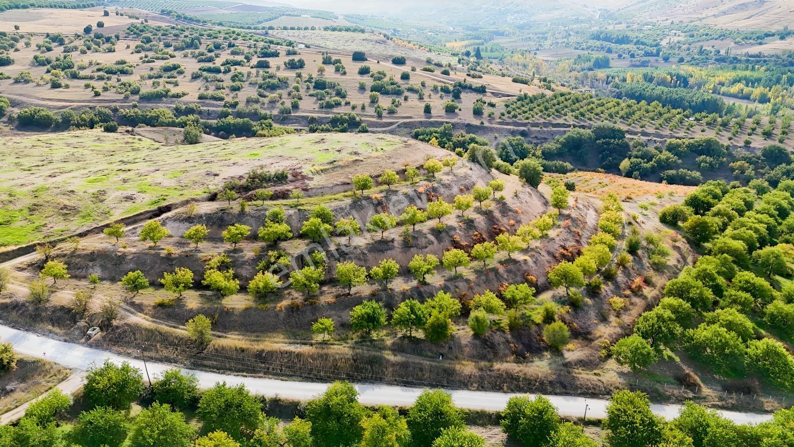 Canbay Yapıdan Örnekköyde 11.123m2 Doğa Ve Baraj Manzaralı Bahçe — fotoğraf 19