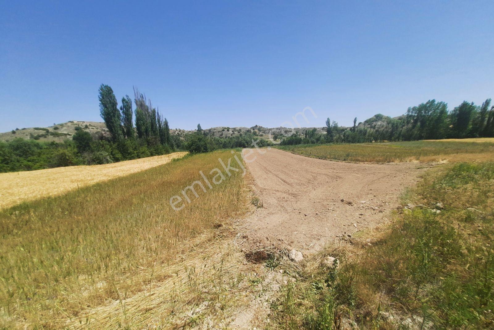 Noradan Çal Aşağıseyit Te Satılık Tarla — fotoğraf 2
