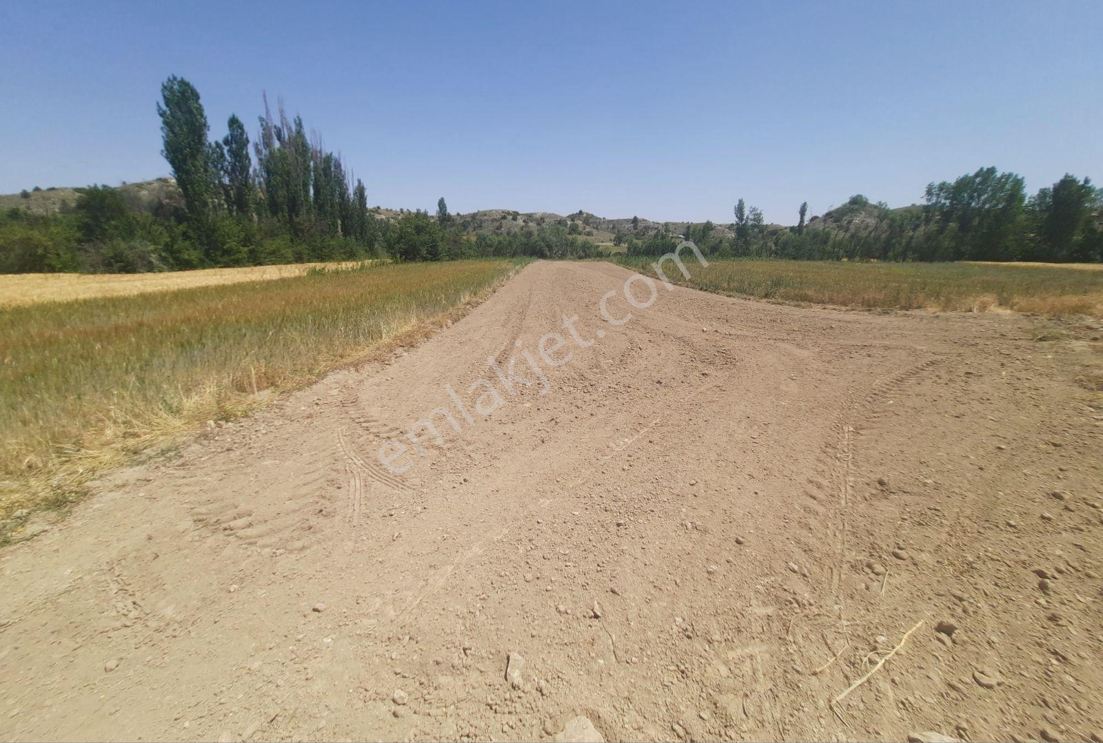 Noradan Çal Aşağıseyit Te Satılık Tarla — fotoğraf 3