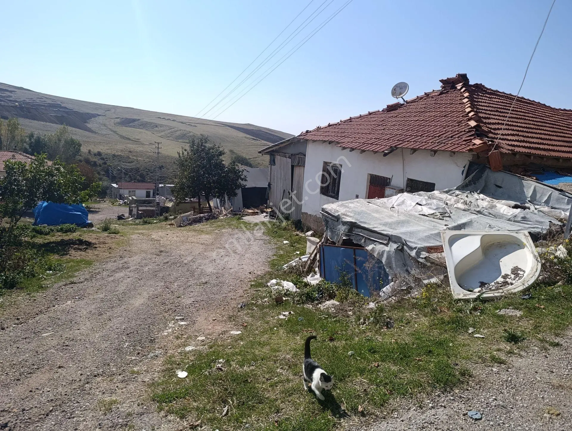 Yakamoz'dan Satılık 365 M² Çiftlik Ve Müstakil Ev — fotoğraf 4