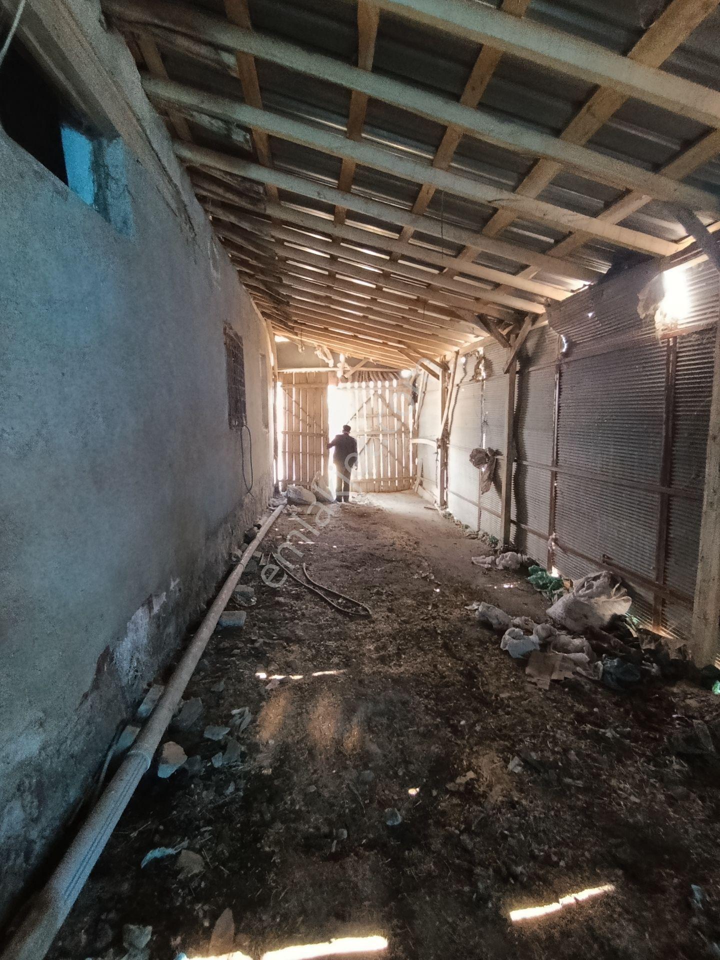 Yakamoz'dan Satılık 365 M² Çiftlik Ve Müstakil Ev — fotoğraf 8