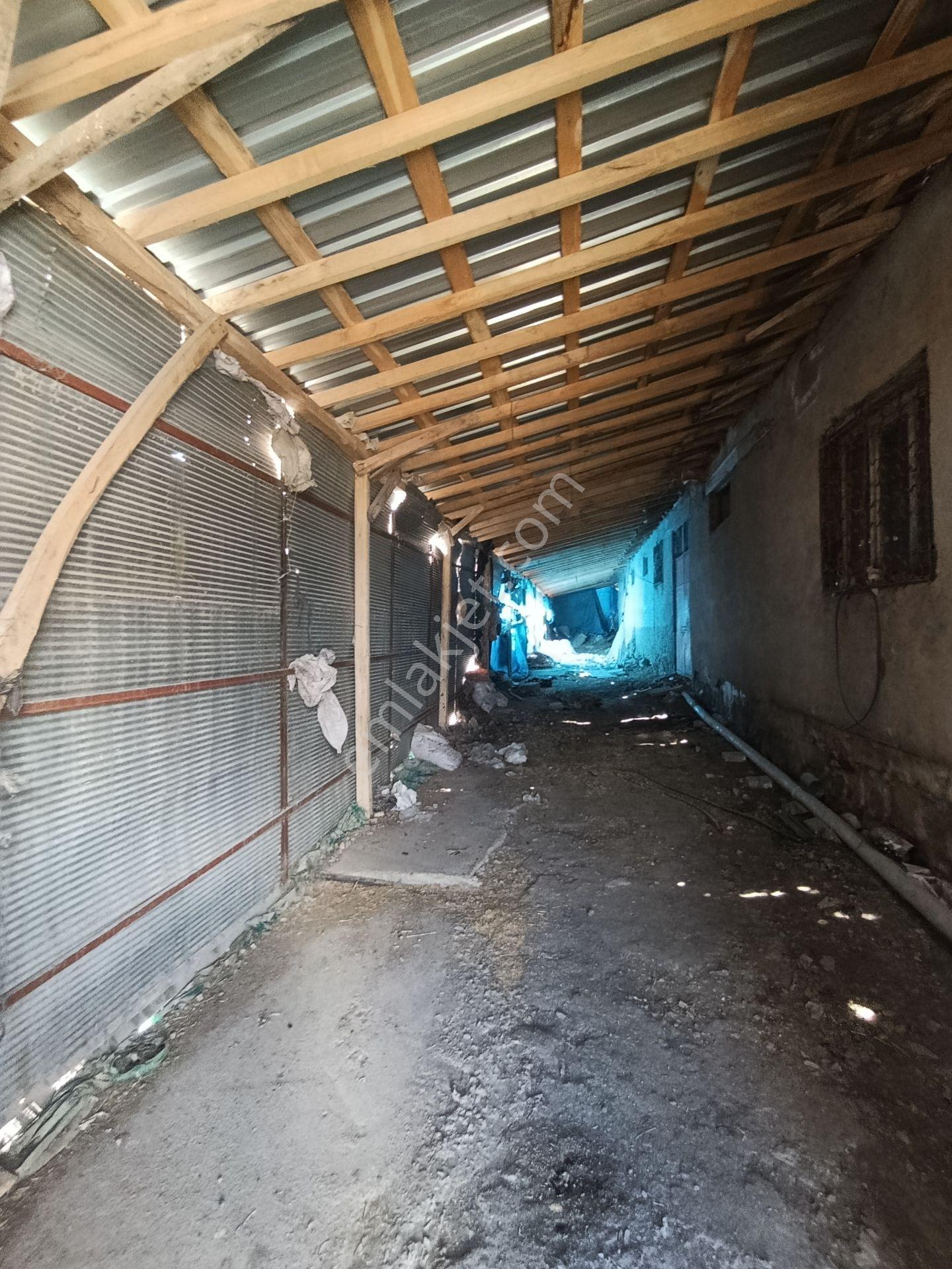 Yakamoz'dan Satılık 365 M² Çiftlik Ve Müstakil Ev — fotoğraf 10