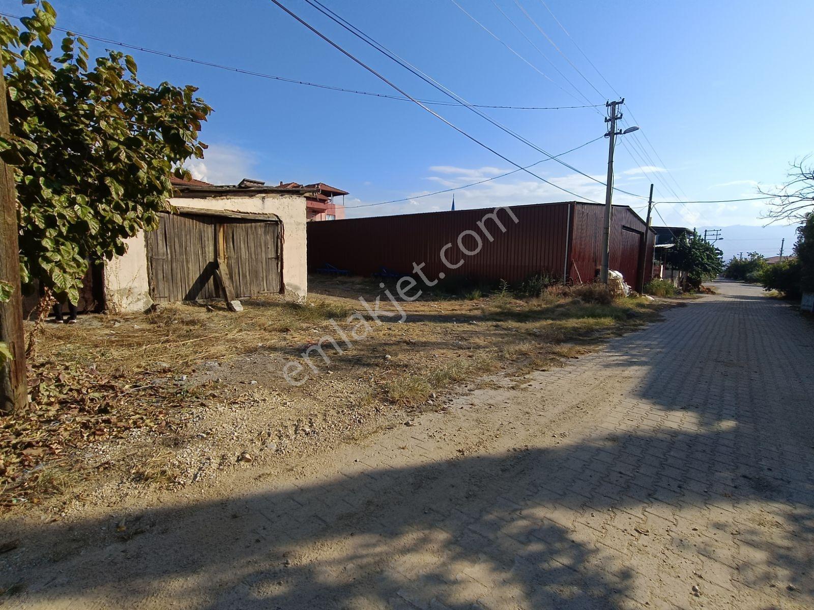 Nora'dan Fırsat Arsa — fotoğraf 5