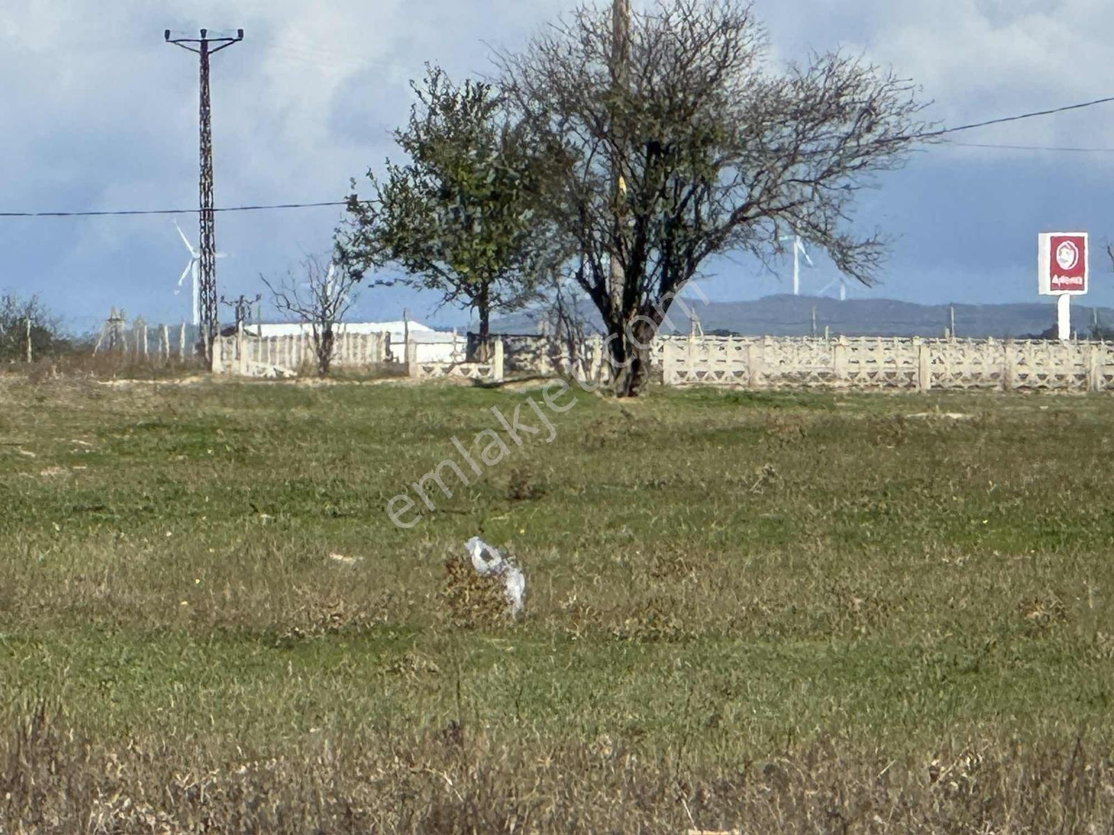 Tekirdağ Saray Büyükyoncalı Da Satılık 277 M² Arsa — fotoğraf 4