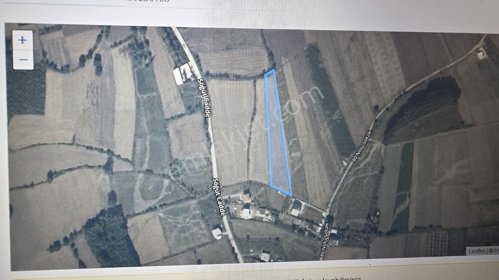 Sakarya Merkeze Yakın Satılık Arsa