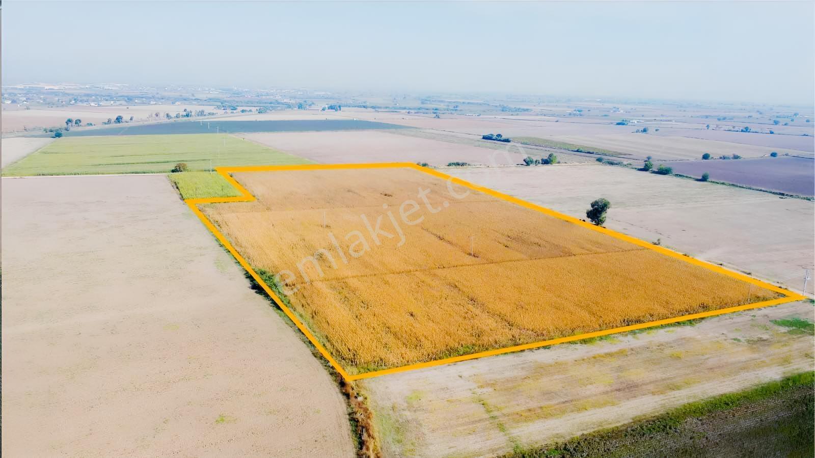 Özgün Gm'Den - Yeni Harmandalında 83.460 M² Satılık Tarla