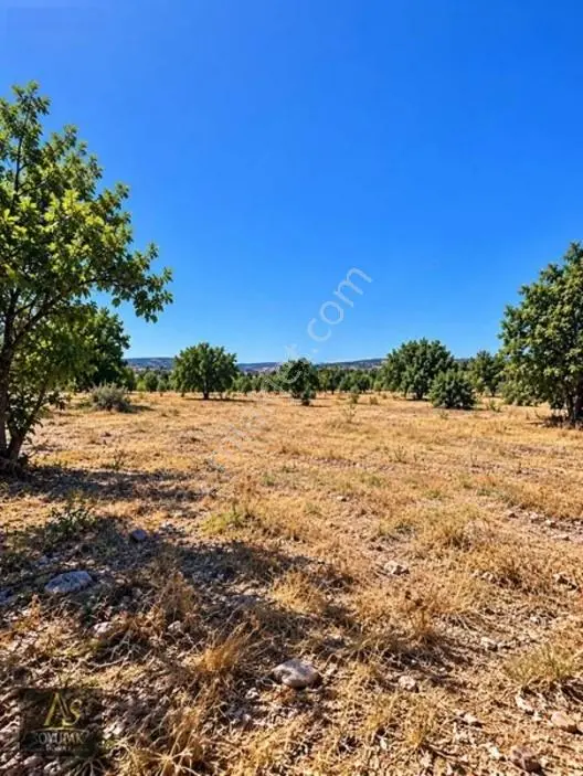 Denizli Acıpayam Kuzören 205 Ada 85 Par 236m2 Tarla Yolu Var — fotoğraf 3