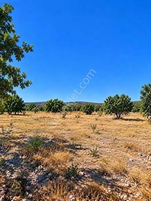 Denizli Acıpayam Kuzören 205 Ada 85 Par 236m2 Tarla Yolu Var — fotoğraf 4