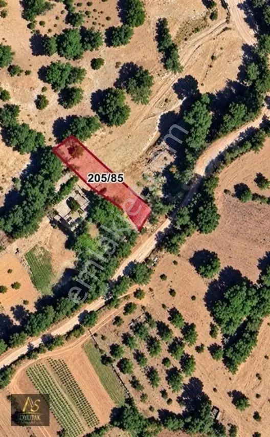 Denizli Acıpayam Kuzören 205 Ada 85 Par 236m2 Tarla Yolu Var — fotoğraf 5