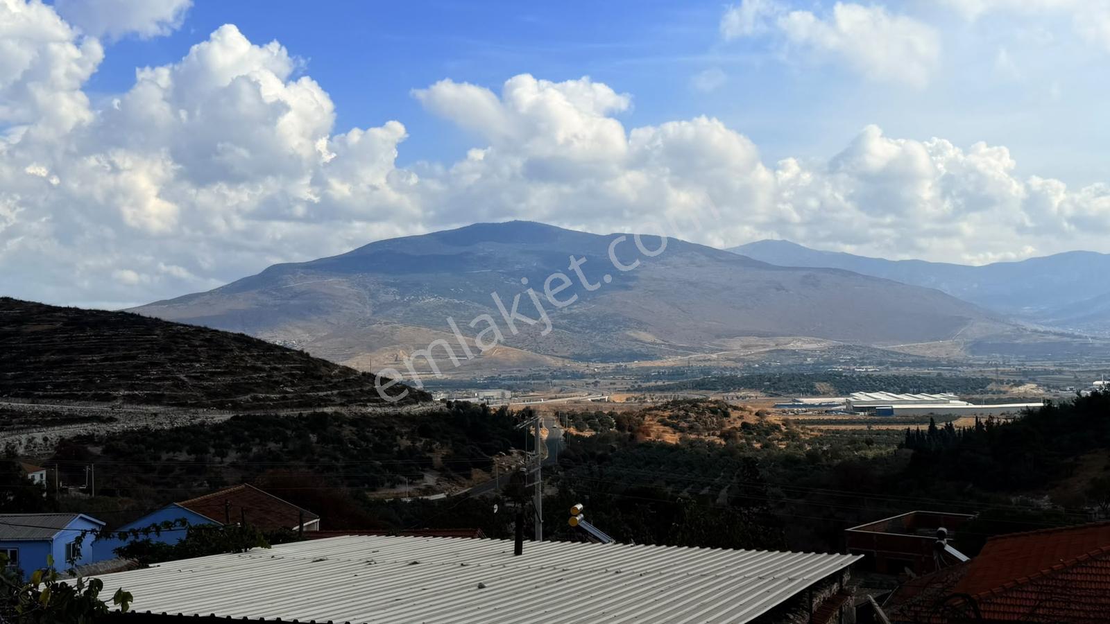 Bozköyde Yerleşimin İçinde Bakımlı Satılık Zeytinlik Fırsatı — fotoğraf 4