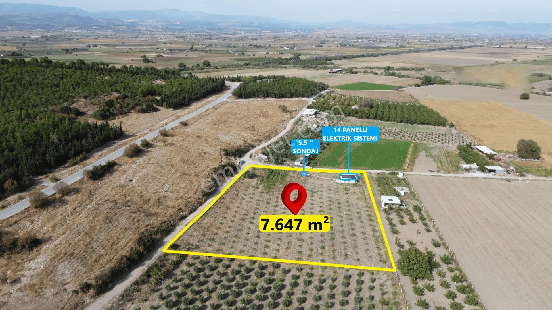 Bergama Kaşıkçı’Da Konteyner Evli, Sulama Sistemli Satılık Zeytinlik