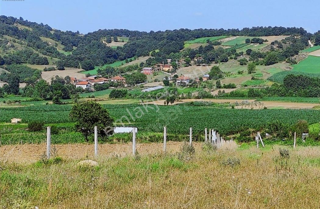 Kocaeli Kandıra 'Da Müstakil Parsel 3.921 M2 Satılık Tarla/Arazi