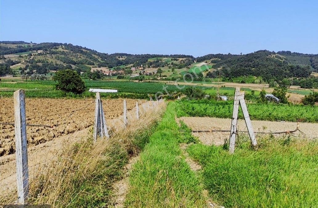 Kocaeli Kandıra 'da Müstakil Parsel 3.921 M2 Satılık Tarla/arazi — fotoğraf 2