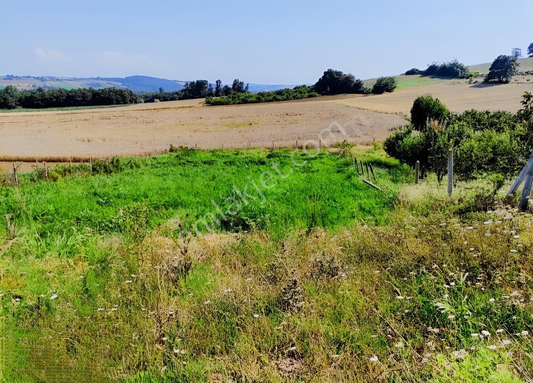 Kocaeli Kandıra 'da Müstakil Parsel 3.921 M2 Satılık Tarla/arazi — fotoğraf 3