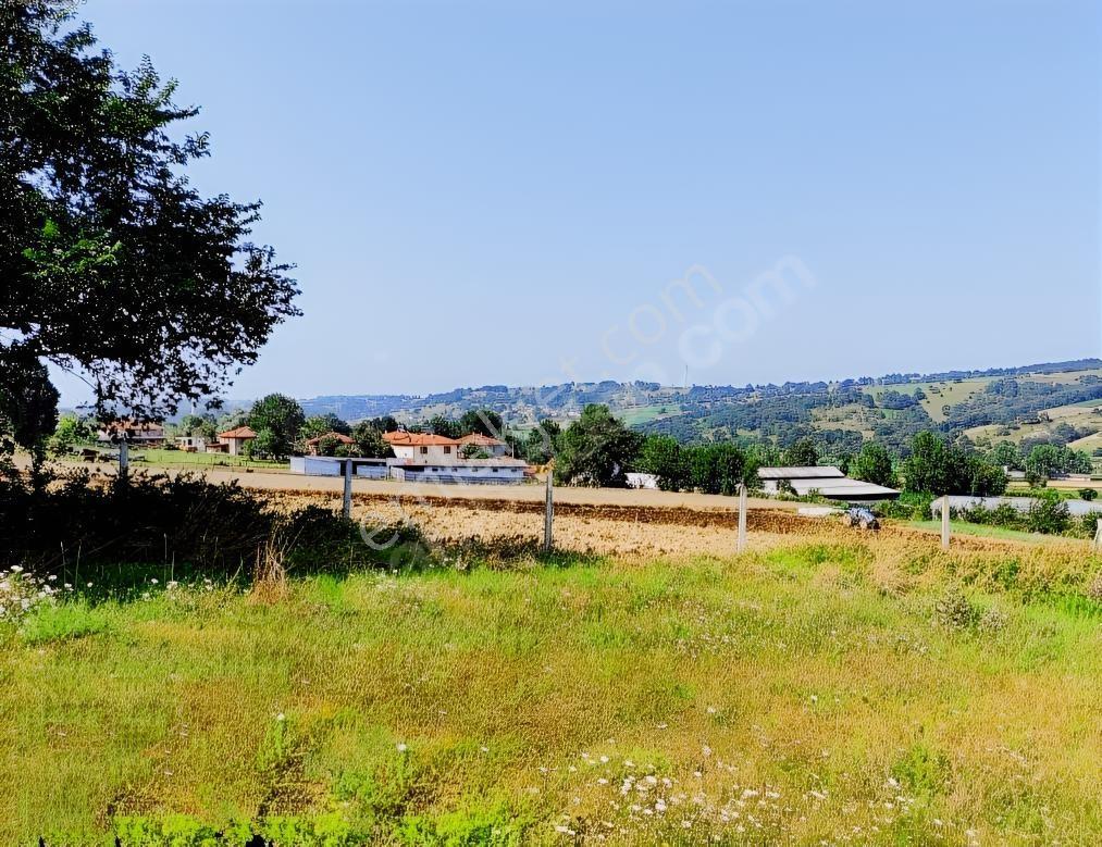 Kocaeli Kandıra 'da Müstakil Parsel 3.921 M2 Satılık Tarla/arazi — fotoğraf 4