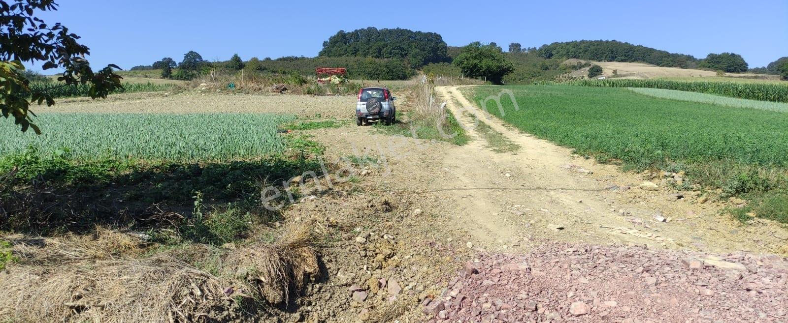 Kocaeli Kandıra 'da Müstakil Parsel 3.921 M2 Satılık Tarla/arazi — fotoğraf 5