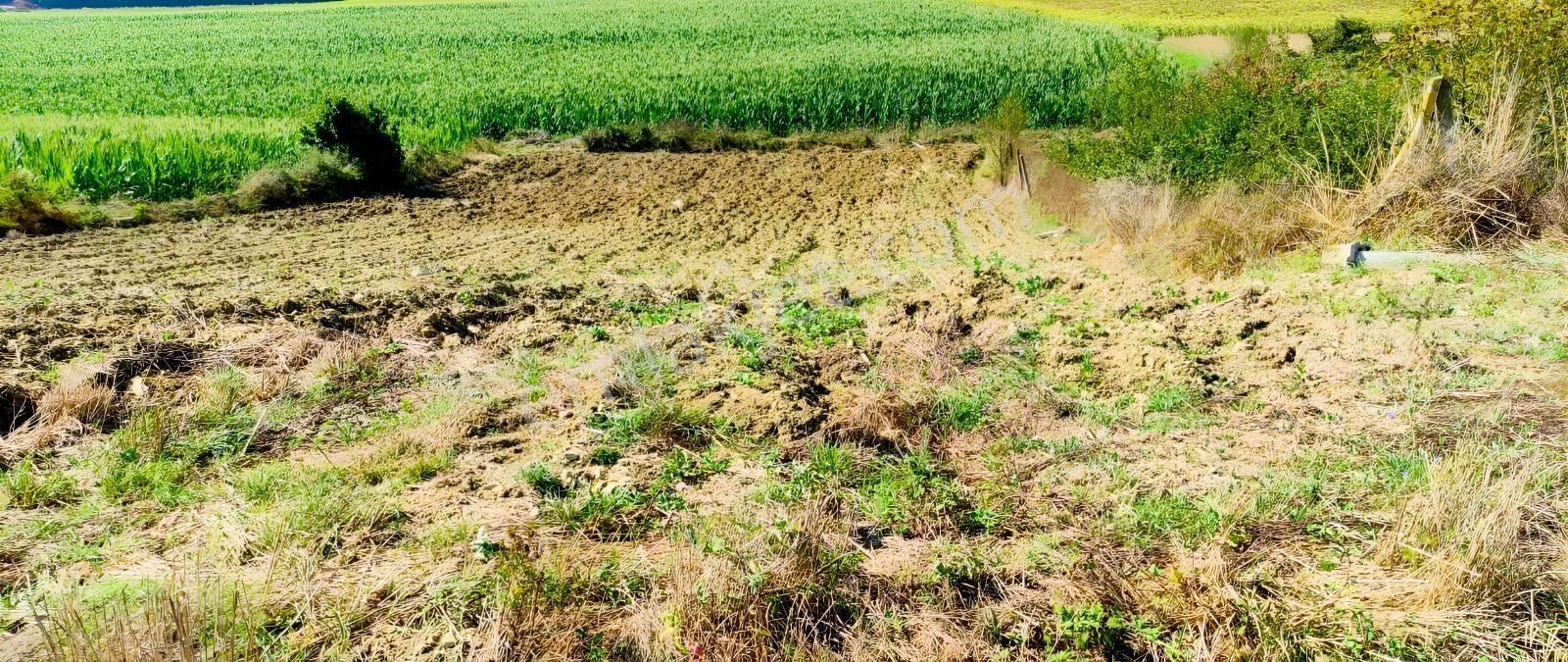 Kocaeli Kandıra 'da Müstakil Parsel 3.921 M2 Satılık Tarla/arazi — fotoğraf 6