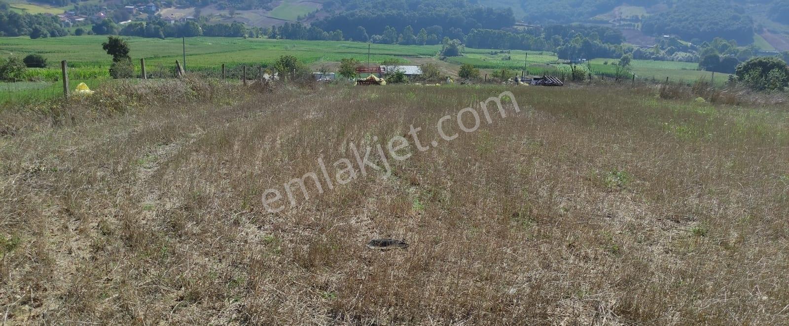 Kocaeli Kandıra 'da Müstakil Parsel 3.921 M2 Satılık Tarla/arazi — fotoğraf 7