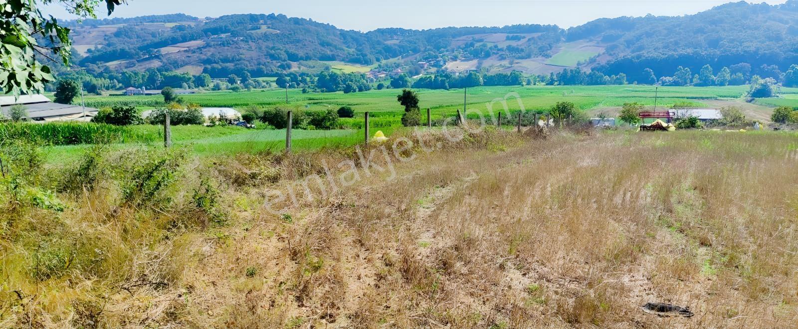 Kocaeli Kandıra 'da Müstakil Parsel 3.921 M2 Satılık Tarla/arazi — fotoğraf 8