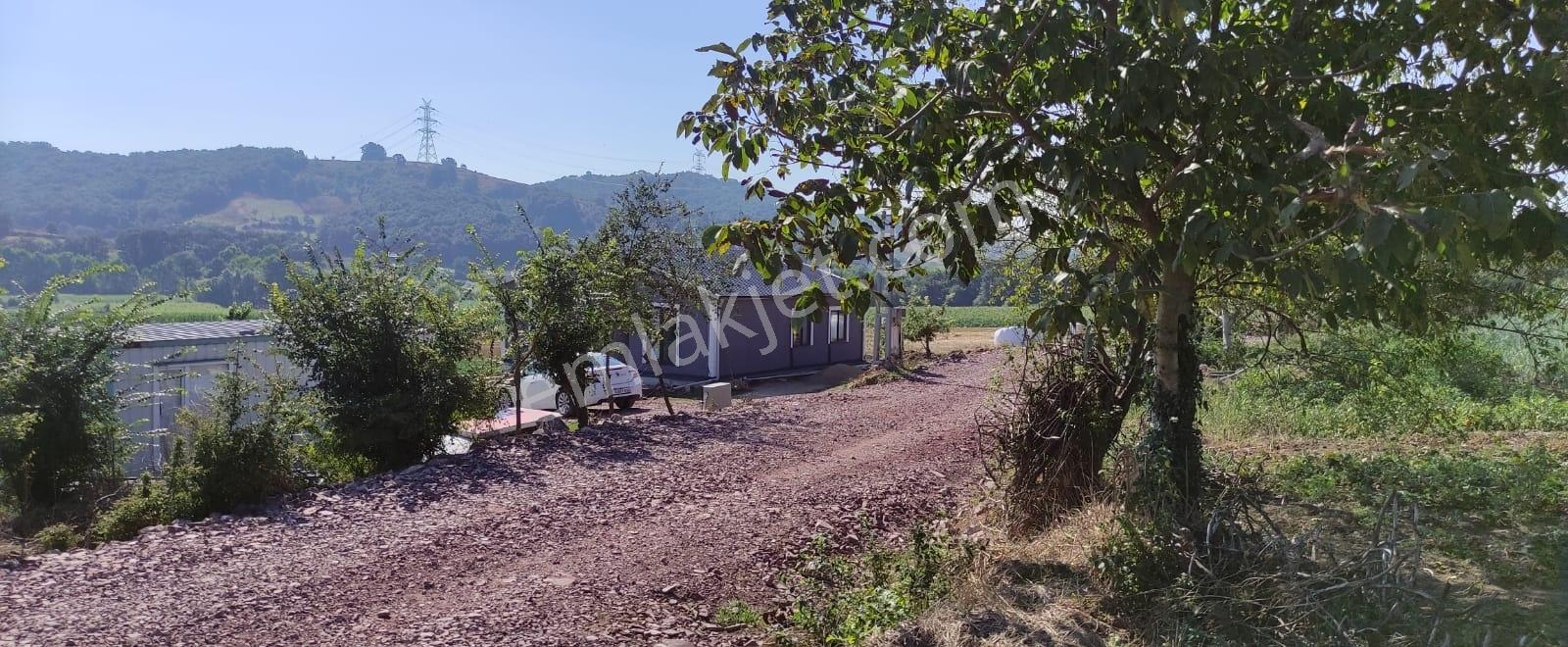 Kocaeli Kandıra 'da Müstakil Parsel 3.921 M2 Satılık Tarla/arazi — fotoğraf 9