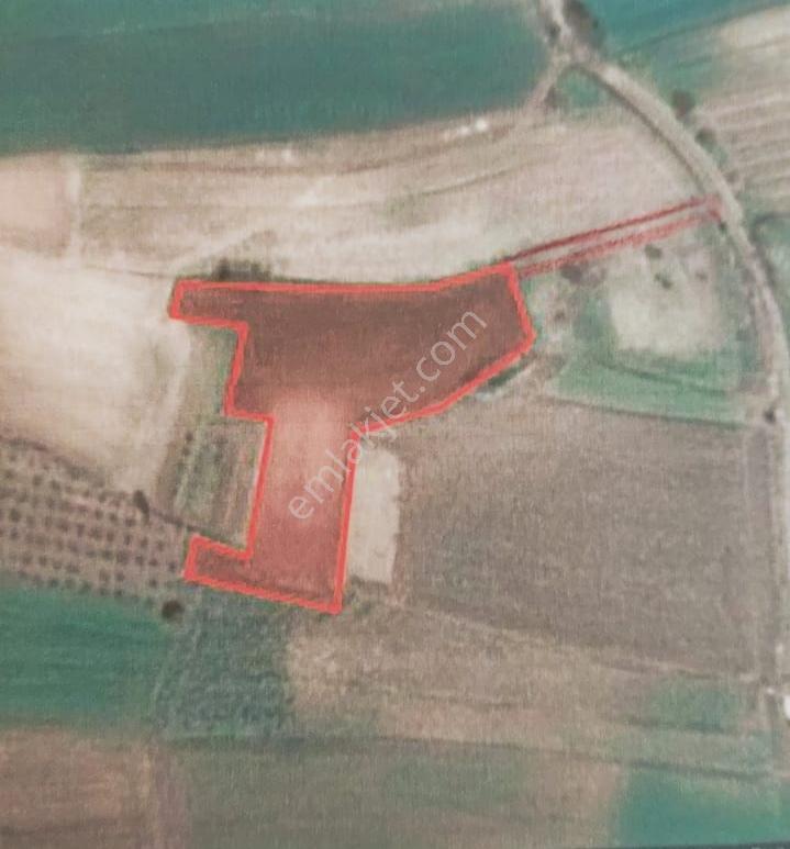 Kocaeli Kandıra 'da Müstakil Parsel 3.921 M2 Satılık Tarla/arazi — fotoğraf 10