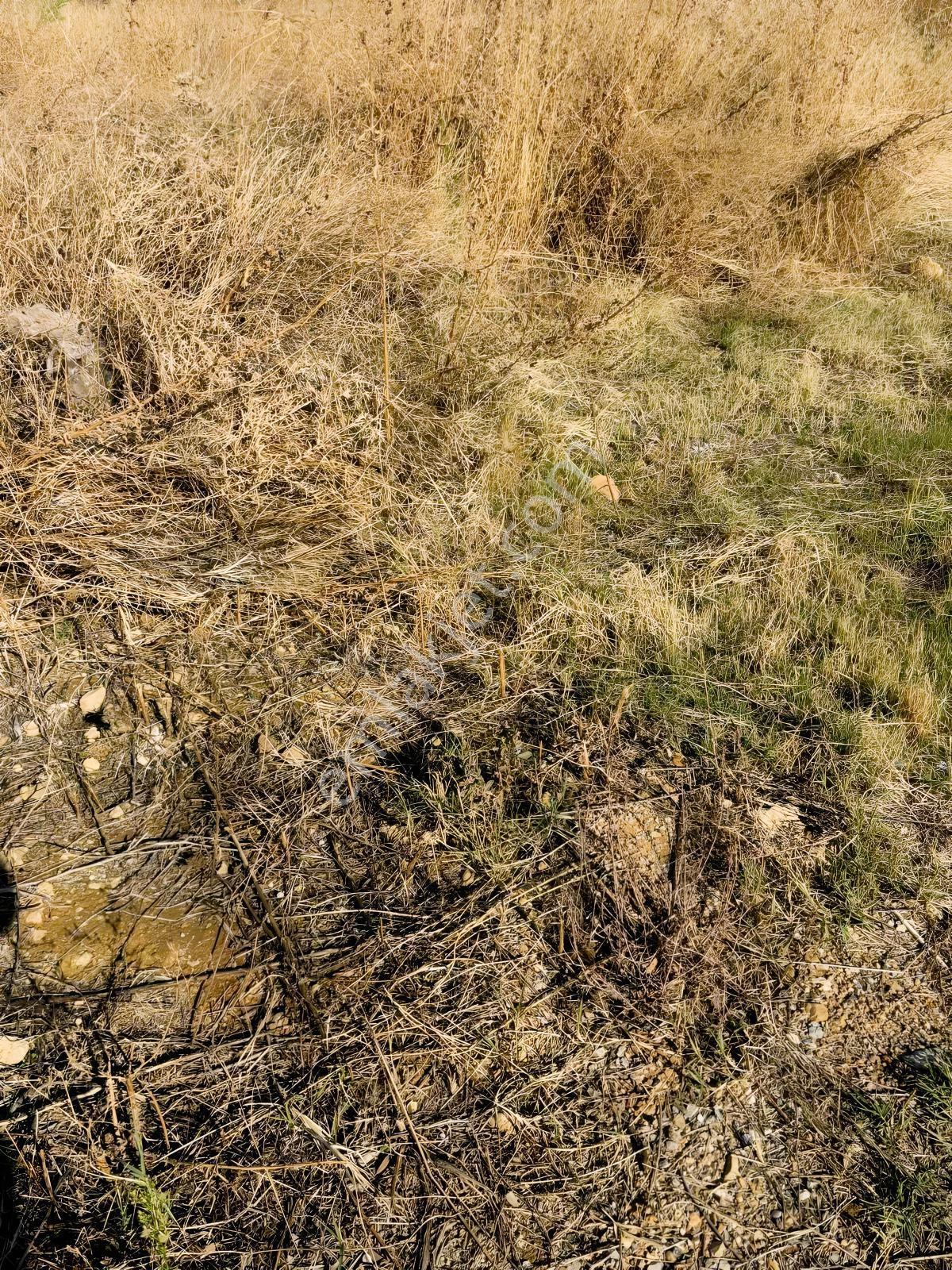 Kaan Emlaktan Denizlide Yatırım İçin İdeal Altıntepe De Arsa