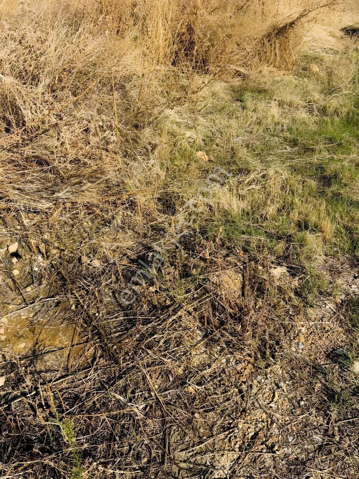 Kaan Emlaktan Denizlide Yatırım İçin İdeal Altıntepe De Arsa — fotoğraf 2