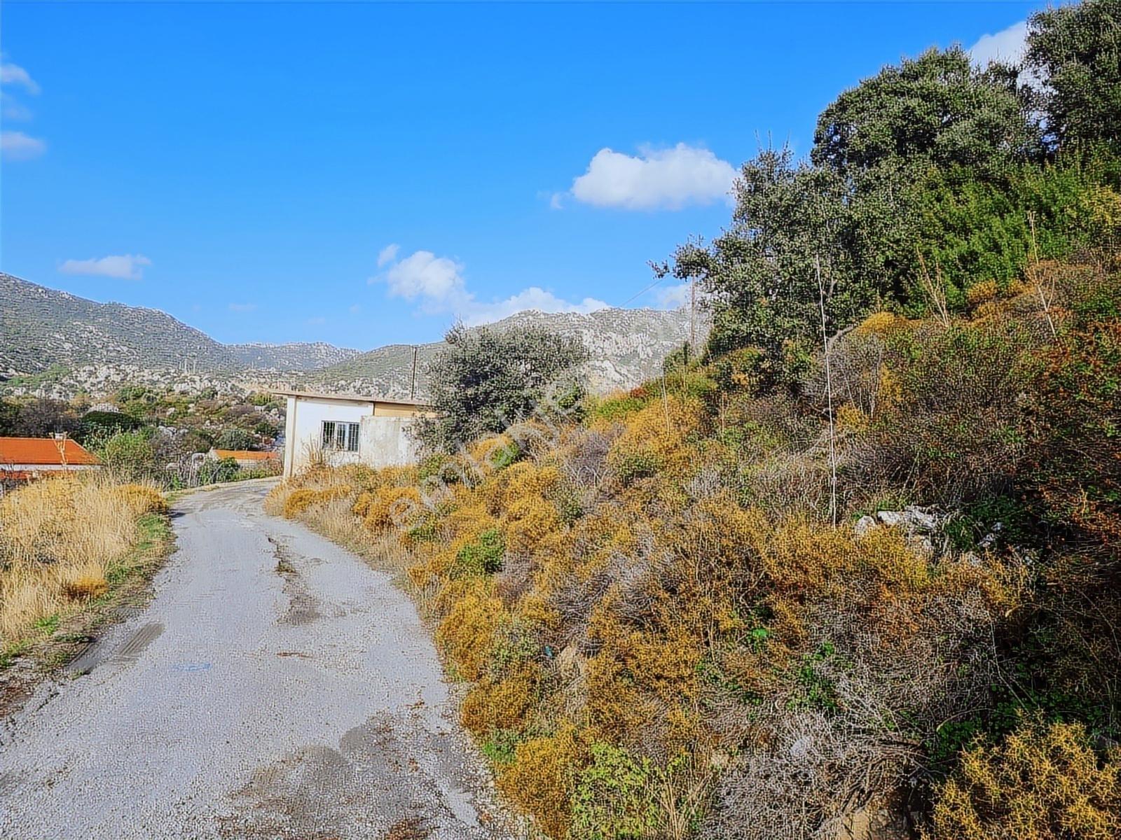 Select'ten Marmaris Söğüt'te İçinde Ev Olan 904 M² Tarla — fotoğraf 4