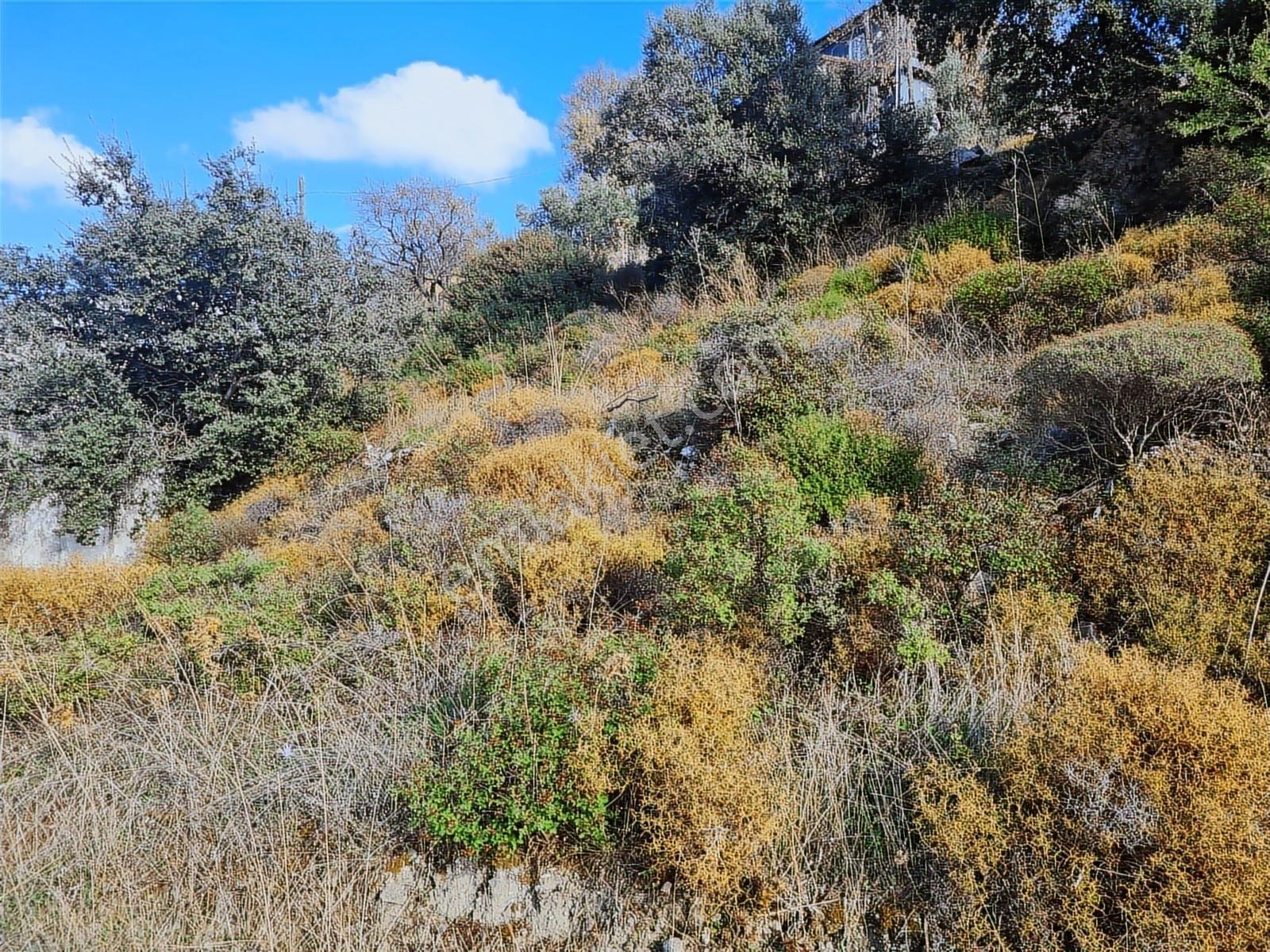 Select'ten Marmaris Söğüt'te İçinde Ev Olan 904 M² Tarla — fotoğraf 18